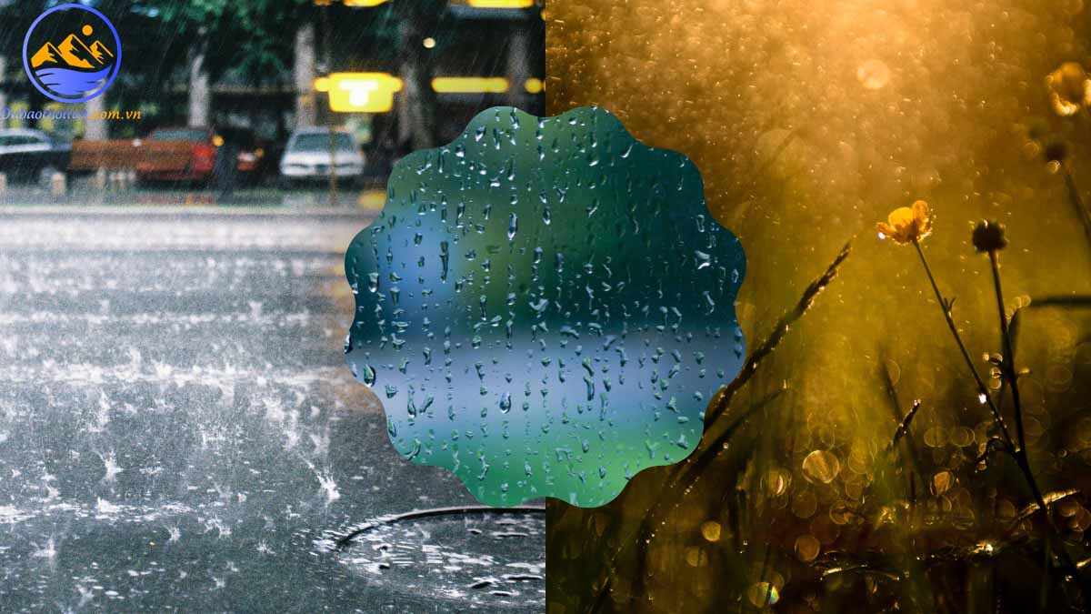 Cơn mưa phùn là gì? Sự khác nhau giữa mưa phùn và mưa rào