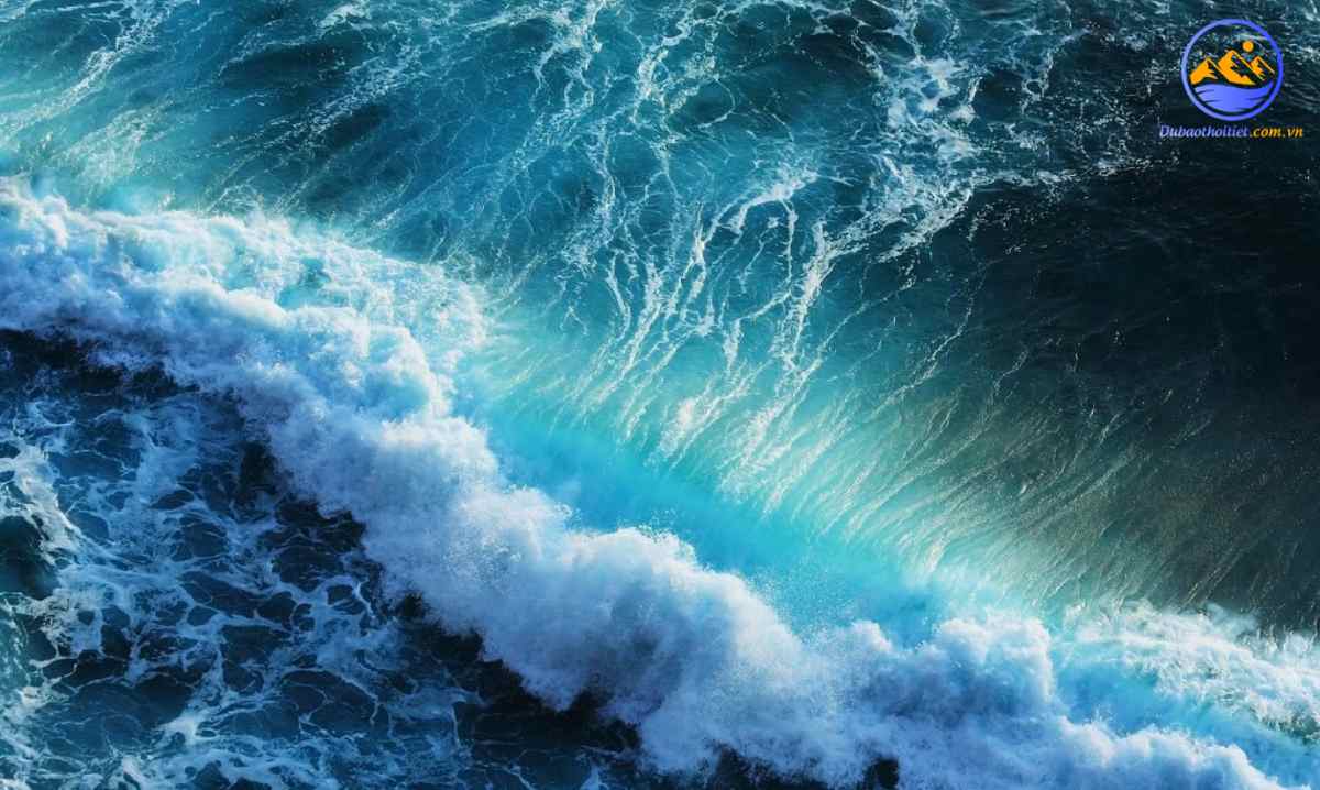Ba loại sóng biển chính: sóng bạc đầu, sóng thần và sóng độc