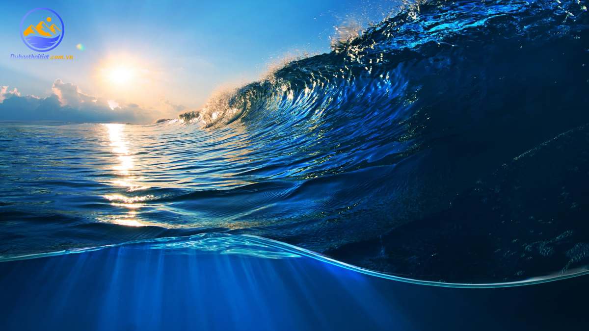 Đặc điểm năng lượng từ sóng biển mang lại nguồn điện năng lớn