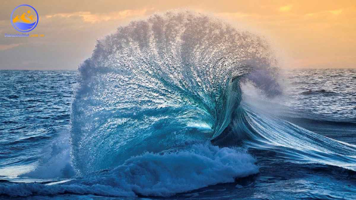 Nguyên nhân chính gây ra sóng biển bởi tác động của gió lên bề mặt của biển