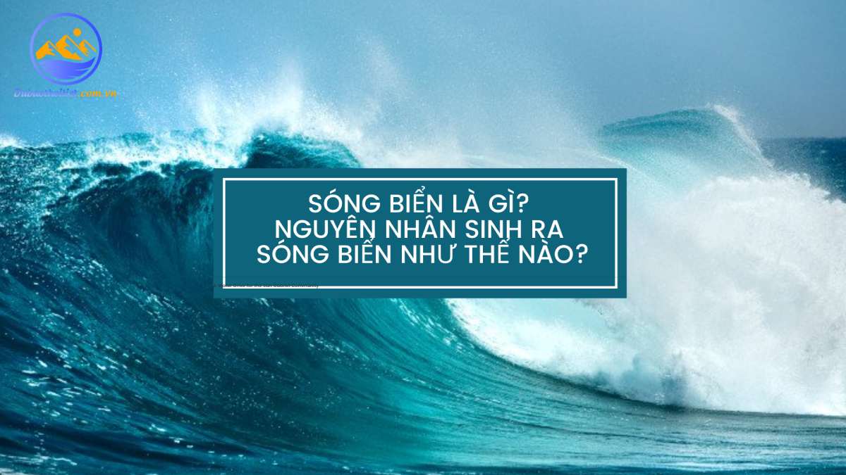 Sóng biển là gì? Nguyên nhân sinh ra sóng biển là như thế nào?